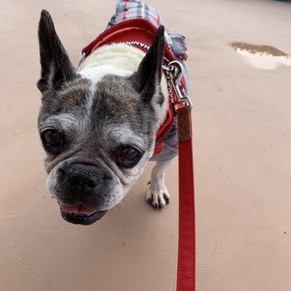 いきなりお外にだされて…