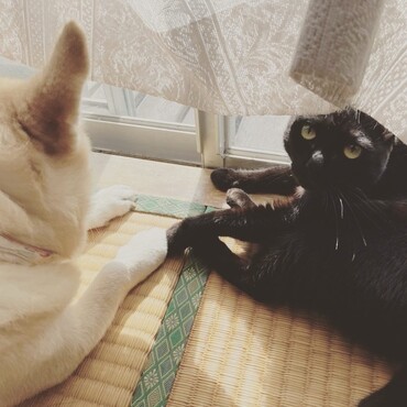 の写真