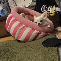 るう