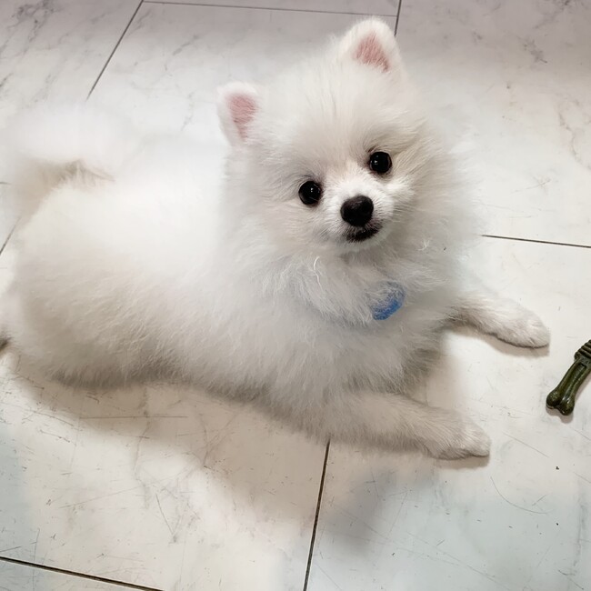 レインボーポスト　担当chiemiのカバー写真