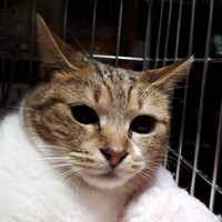 マーブルちゃん}