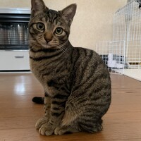 ソラ