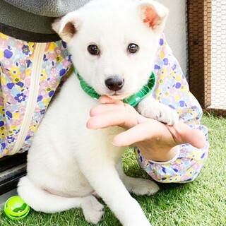 元気いっぱいのシュン君2ヶ月