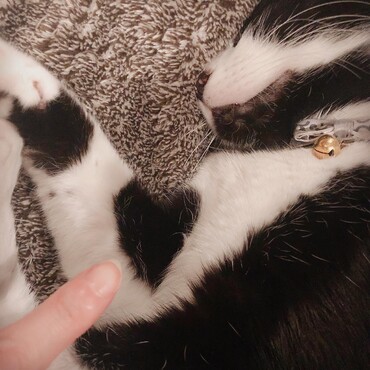 ラッキーハート♡