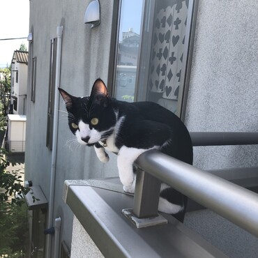外見るの好き