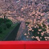こここころん