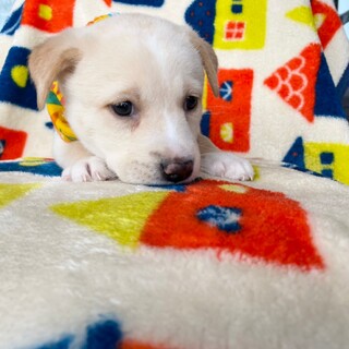 大きくなるかな？！寝ぼけ眼の "湊川 小次郎くん"