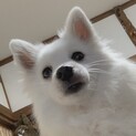 ☆❣️家族がきまりした❣️☆