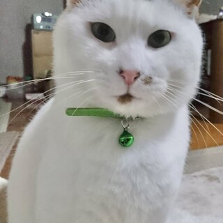 超絶甘えん坊の男の子　一歳半