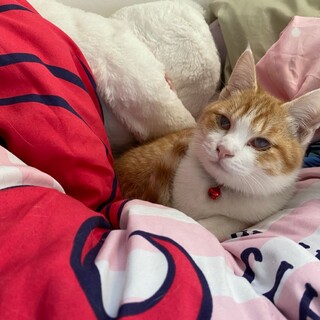 元気いっぱい☆ラッキーくん