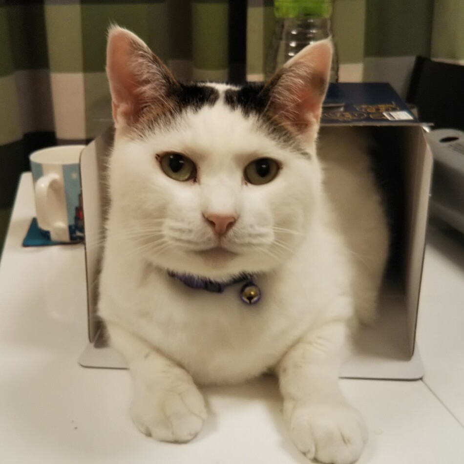 あちのカバー写真