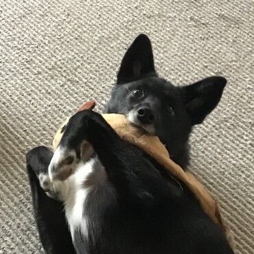 の写真