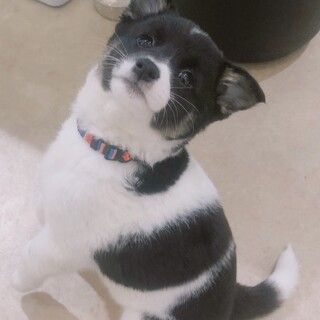 お問合せがあり一旦停止中です。