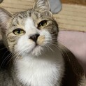 まん丸お顔☆まゆくん