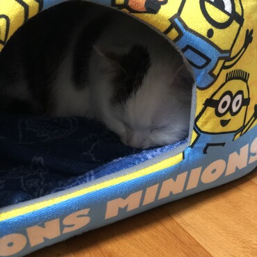 2021/01/29