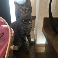 オレオ
