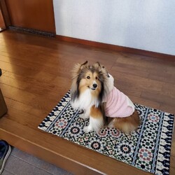 厚着しましょう