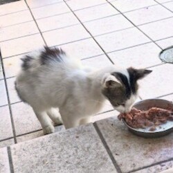 みれいちゃんの過去