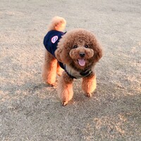 ここ