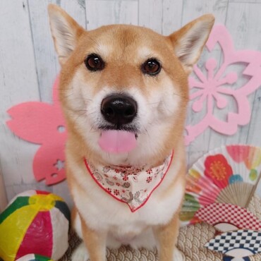 お風呂あがりにパシャﾌﾘ ₍₍◡( ╹◡╹ )◡₎₎ ﾌﾘ