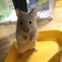 岩ちゃん、月ちゃん