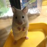 岩ちゃん、月ちゃん