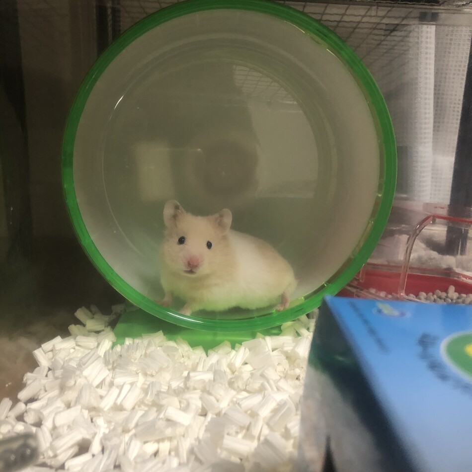 岩ちゃん、月ちゃんのカバー写真