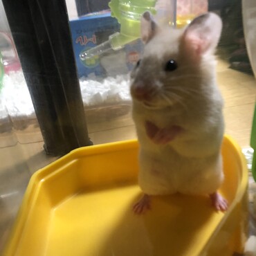 口元が可愛い。