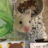 写真を撮っていたら近づいてきました。