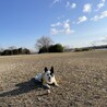 の写真