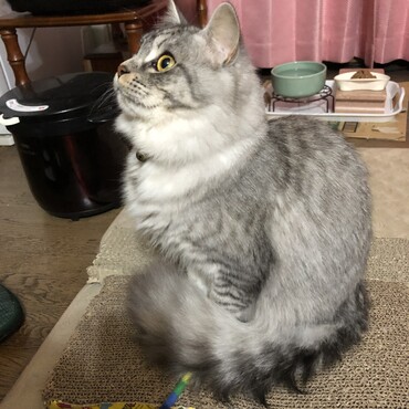 イケメンな横顔①