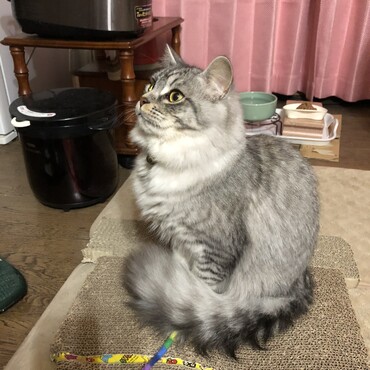 イケメンな横顔②