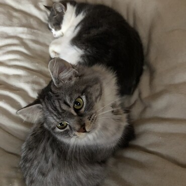 おじーが泊まりの時は