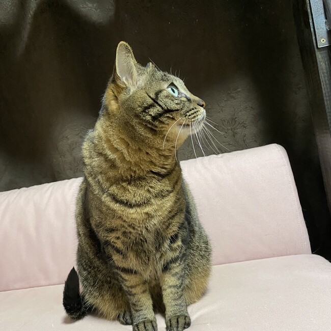 ire0601のカバー写真