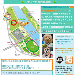 保護犬ご縁探し会IN愛知県東海広場