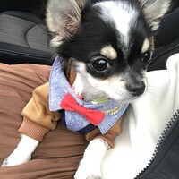 ムギ
