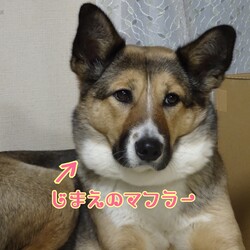 「琳　１年と10ヶ月目」サムネイル1