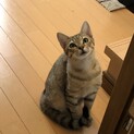 人見知りだけど、慣れたら超甘えん坊