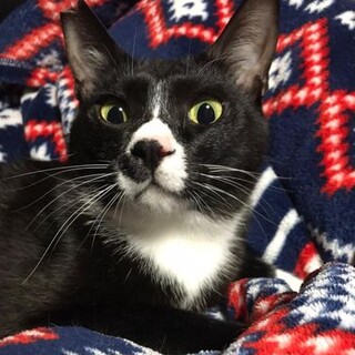 保護っこ♪くつした君♪里親絶賛募集中！