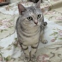 ずっとのお家を募集中