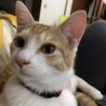 の写真