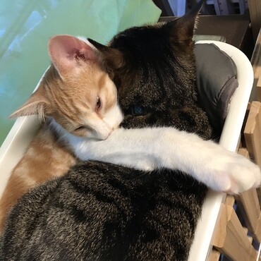 の写真
