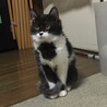 リリヤ