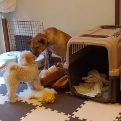 「おめでとう、ふくたけ君！」サムネイル2