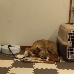 「おめでとう、ふくたけ君！」サムネイル3