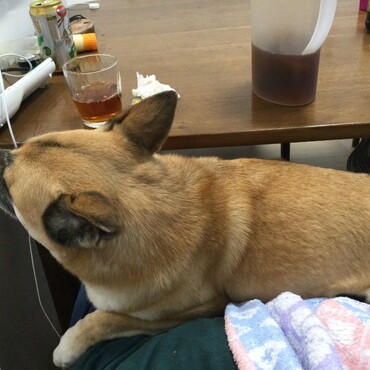 やっぱコッチだよな
