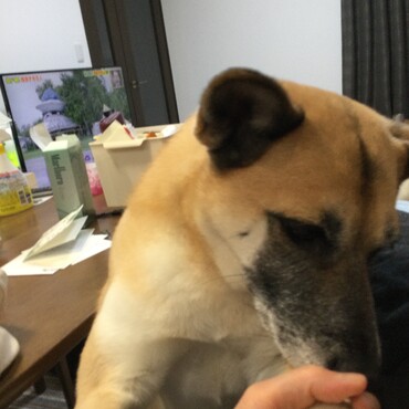 よこせ