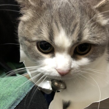 袋から出ます