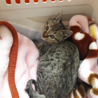 寂しがり屋のめちゃめちゃ甘えたの男の子