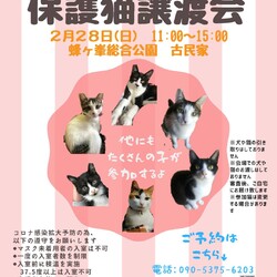 第１３回保護猫譲渡会in山口県